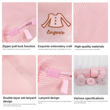 Premium Lingerie/Bra Laundry Wash Bag - (1 Pc)