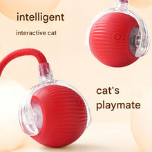 Rechargeable Interactive Cat Toy Ball with Detachable Braided Tail and LED Light (1 Pc)