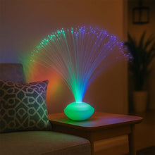 Fiber Display Light