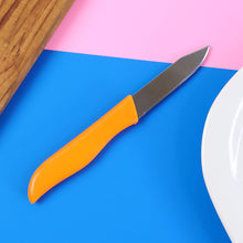 Professional Paring & Utility Kitchen Knife (1 Pc)